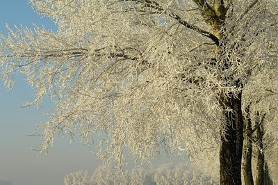 BUITEN BEELD Foto: 130820