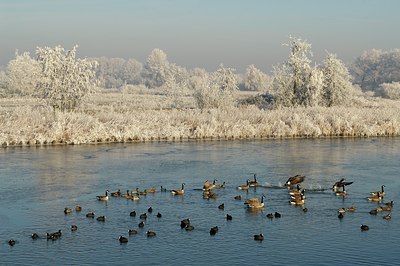 BUITEN BEELD Foto: 130825