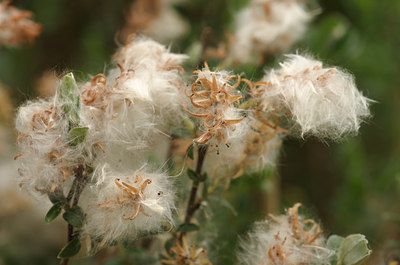 BUITEN BEELD Foto: 130833