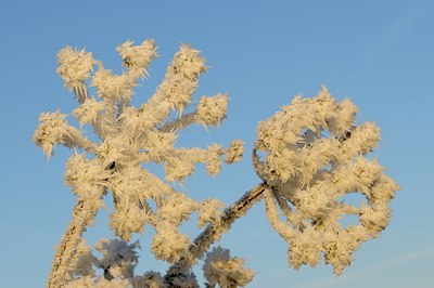 BUITEN BEELD Foto: 130837