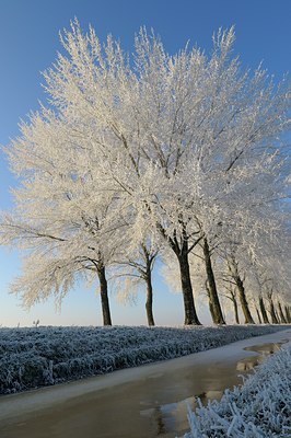 BUITEN BEELD Foto: 130842