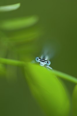 BUITEN BEELD Foto: 130844