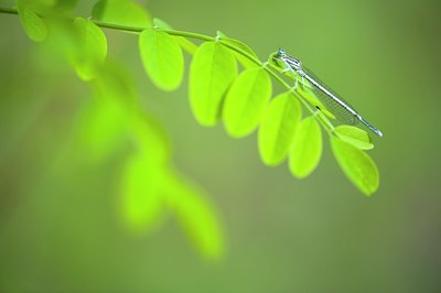 BUITEN BEELD Foto: 130845