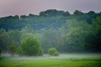 BUITEN BEELD Foto: 130863