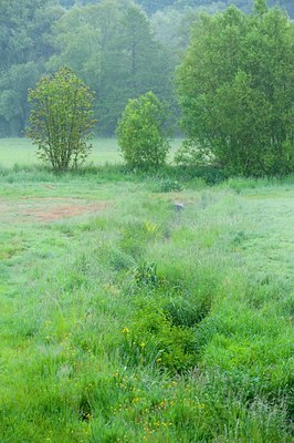 BUITEN BEELD Foto: 130864