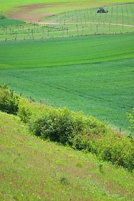 BUITEN BEELD Foto: 130867