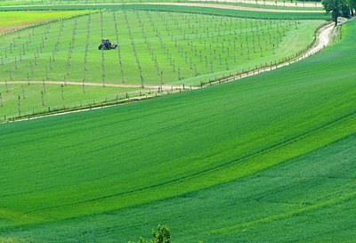 BUITEN BEELD Foto: 130868