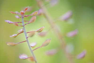 BUITEN BEELD Foto: 130873