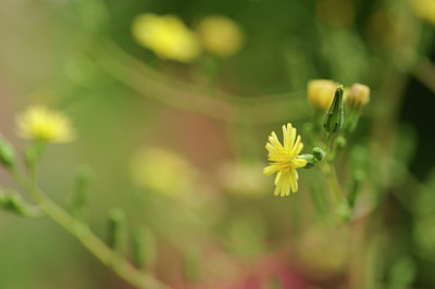 BUITEN BEELD Foto: 130955