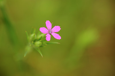 BUITEN BEELD Foto: 130958