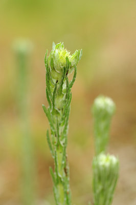 BUITEN BEELD Foto: 130967