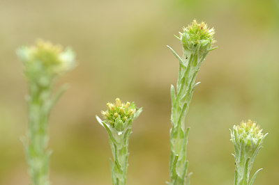 BUITEN BEELD Foto: 130969