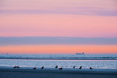 BUITEN BEELD Foto: 131015