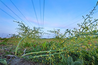 BUITEN BEELD Foto: 131039