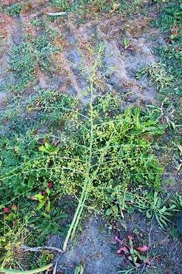 BUITEN BEELD Foto: 131040