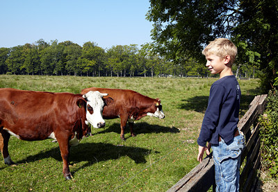 BUITEN BEELD Foto: 131072