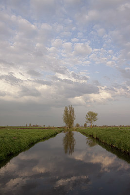 BUITEN BEELD Foto: 131076