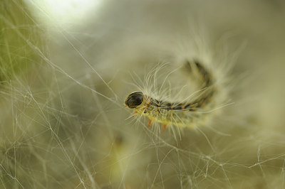 BUITEN BEELD Foto: 131083
