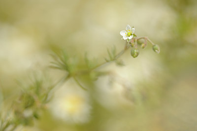 BUITEN BEELD Foto: 131102