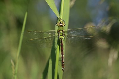 BUITEN BEELD Foto: 131122