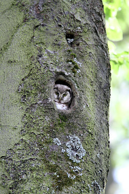 BUITEN BEELD Foto: 131229