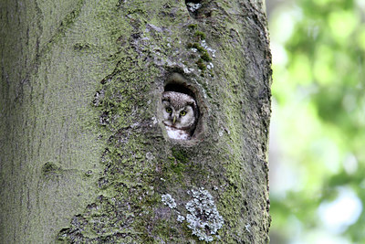 BUITEN BEELD Foto: 131230