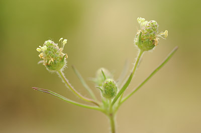 BUITEN BEELD Foto: 131250
