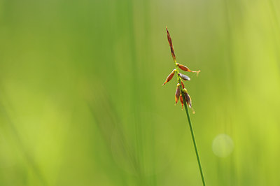 BUITEN BEELD Foto: 131304