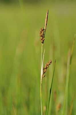 BUITEN BEELD Foto: 131305
