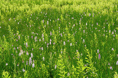 BUITEN BEELD Foto: 131326