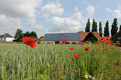 BUITEN BEELD Foto: 131330