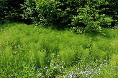 BUITEN BEELD Foto: 131333