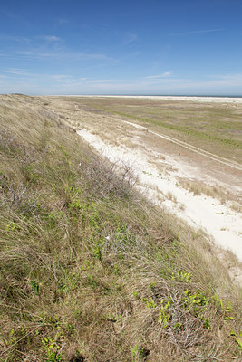 BUITEN BEELD Foto: 131351