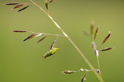 BUITEN BEELD Foto: 131354