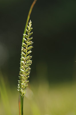 BUITEN BEELD Foto: 131359