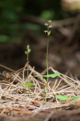 BUITEN BEELD Foto: 131416
