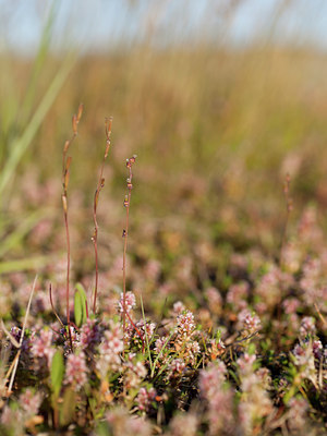 BUITEN BEELD Foto: 131460