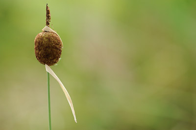 BUITEN BEELD Foto: 131471