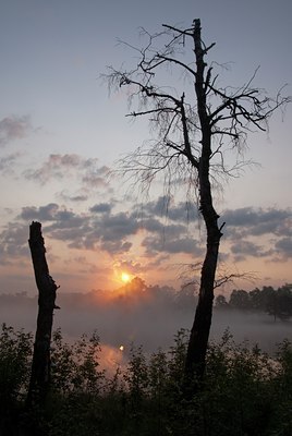 BUITEN BEELD Foto: 131499