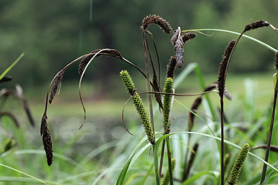 BUITEN BEELD Foto: 131519