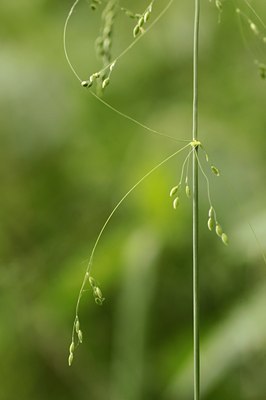 BUITEN BEELD Foto: 131539