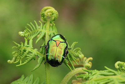 BUITEN BEELD Foto: 131544