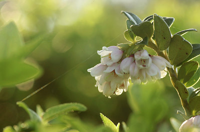 BUITEN BEELD Foto: 131551