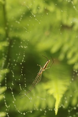 BUITEN BEELD Foto: 131562