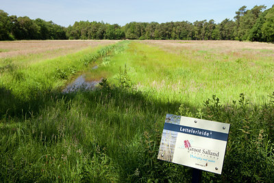 BUITEN BEELD Foto: 131577