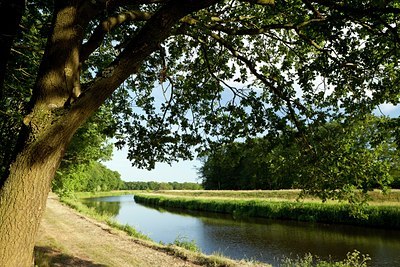 BUITEN BEELD Foto: 131579