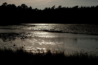 BUITEN BEELD Foto: 131584