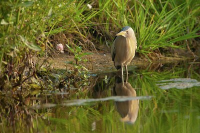 BUITEN BEELD Foto: 131678