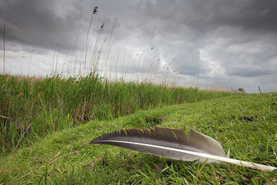 BUITEN BEELD Foto: 131682