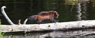 BUITEN BEELD Foto: 131691